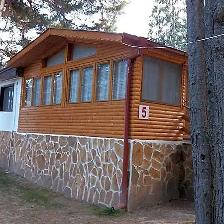 ива